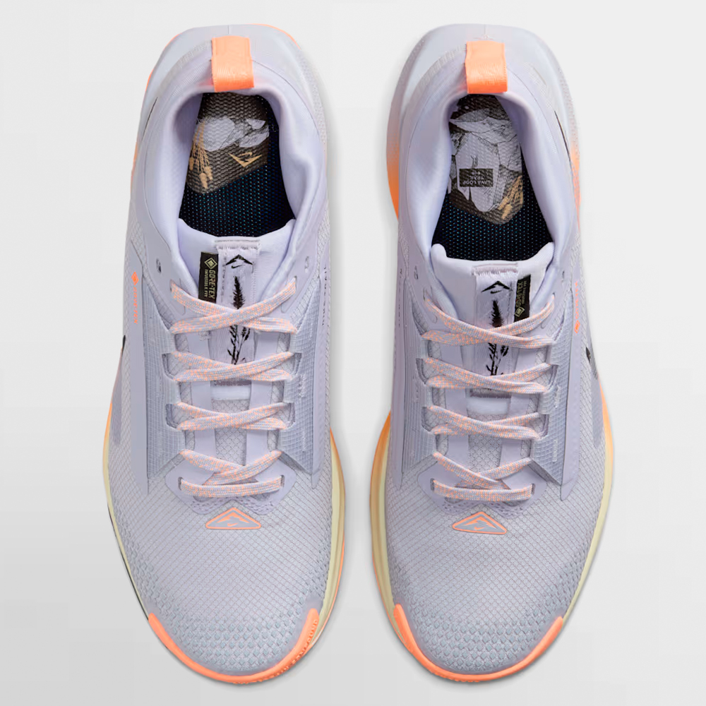 NIKE CALZADO W. PEGASUS TRAIL 5 GORE-TEX - FQ0912 011