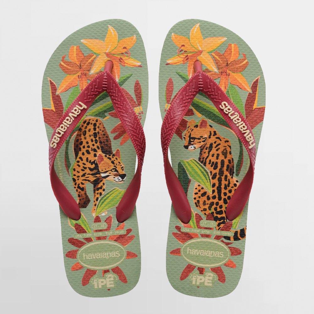 HAVAIANAS SANDALIA IPÉ - 4000396 1156
