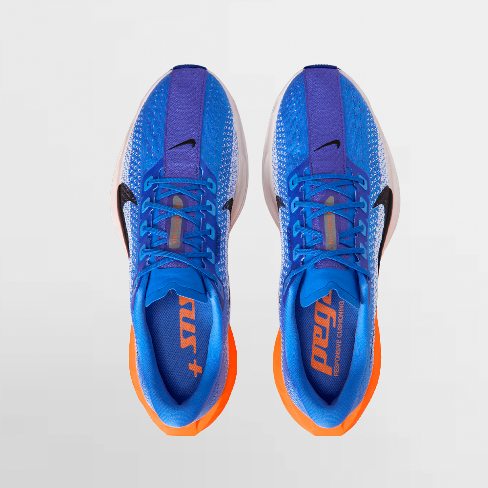 NIKE CALZADO PEGASUS PLUS - FQ7262 403