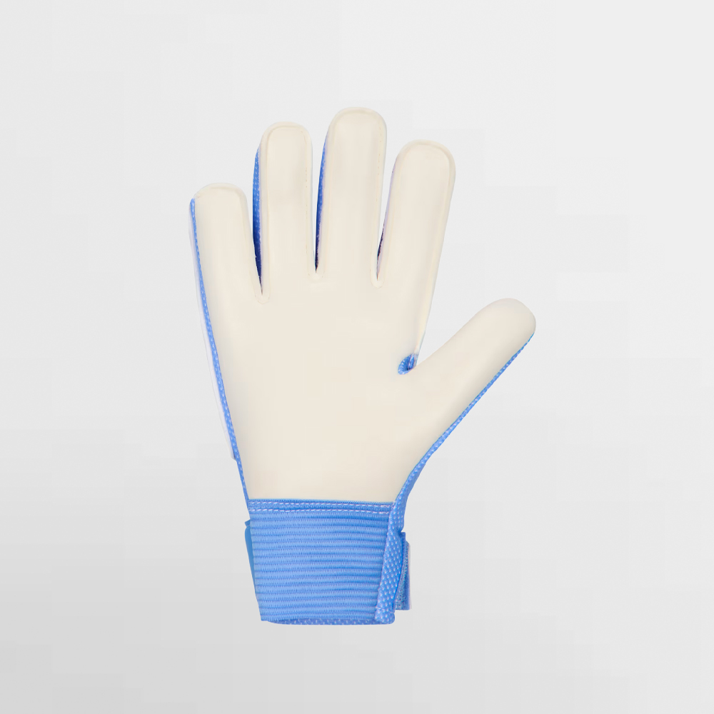NIKE GUANTE PORTERO GK MATCH - HQ0258 494