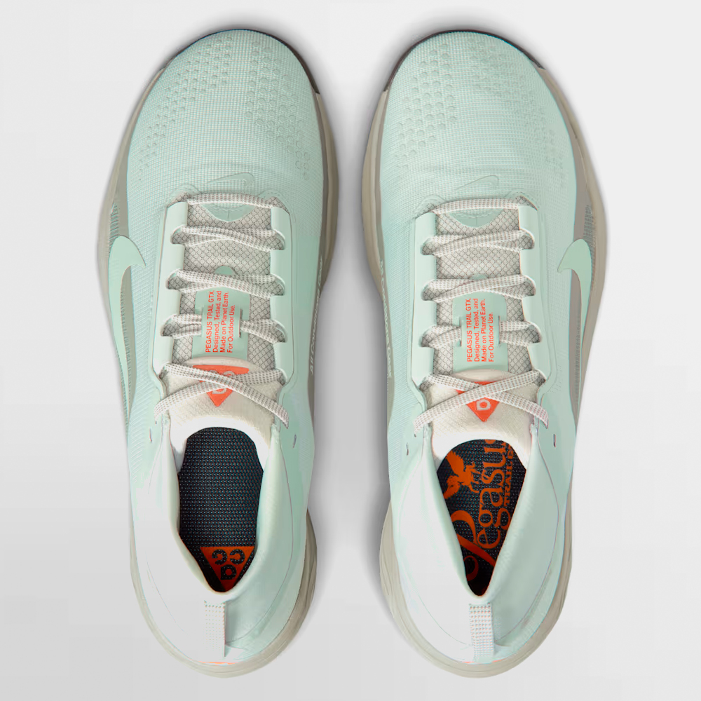 NIKE CALZADO PEGASUS TRAIL GORE-TEX - IQ1084 003