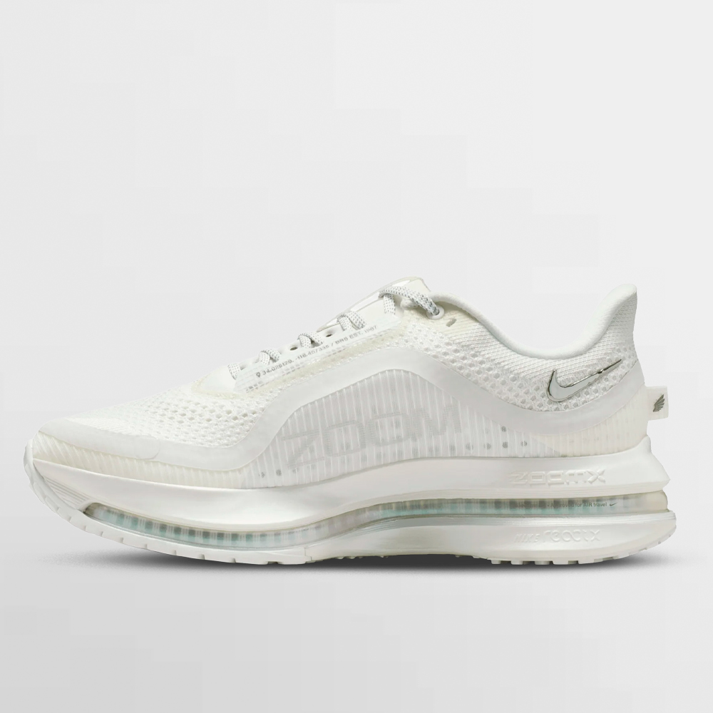 NIKE CALZADO W. PEGASUS PREMIUM - IO9918 100