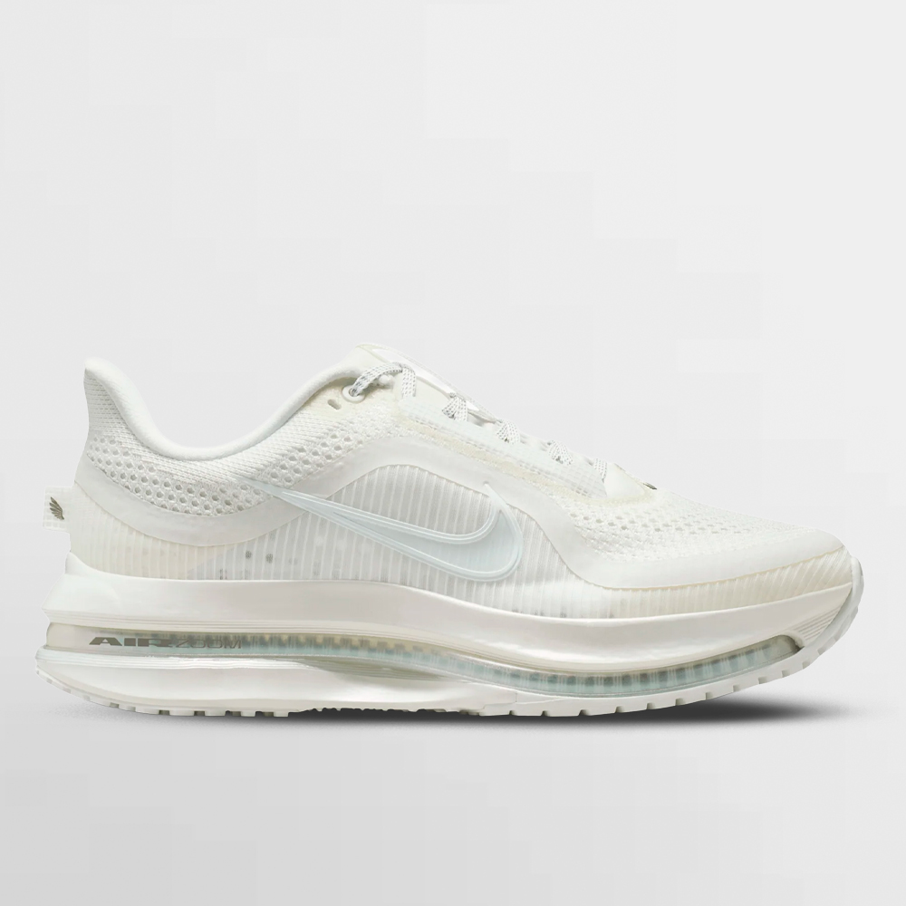 NIKE CALZADO W. PEGASUS PREMIUM - IO9918 100