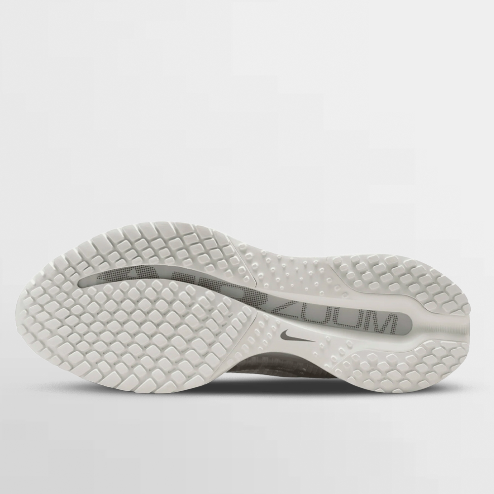 NIKE CALZADO W. PEGASUS PREMIUM - IO9918 100