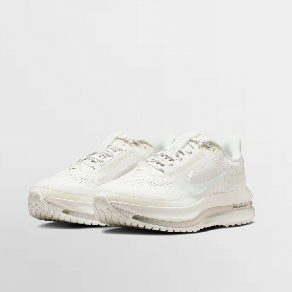 NIKE CALZADO W. PEGASUS PREMIUM - IO9918 100