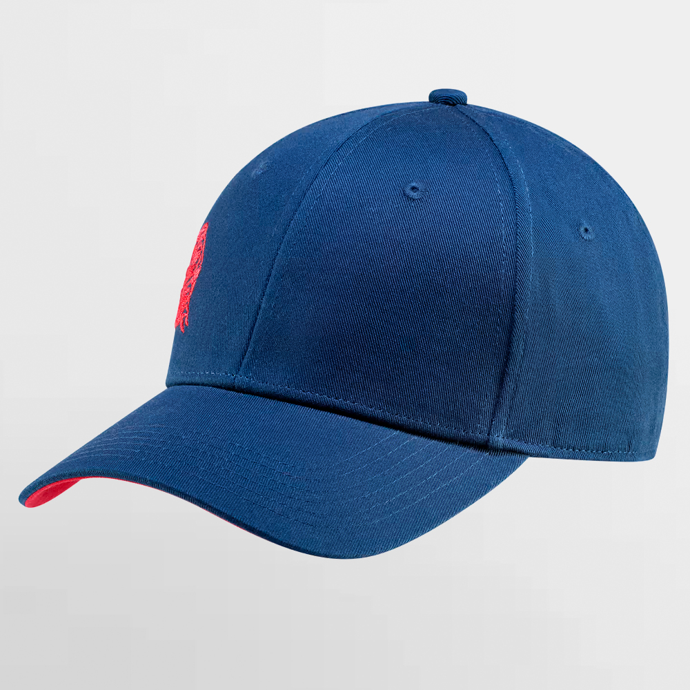 AFB GORRA BOOST CAP - RRI264004