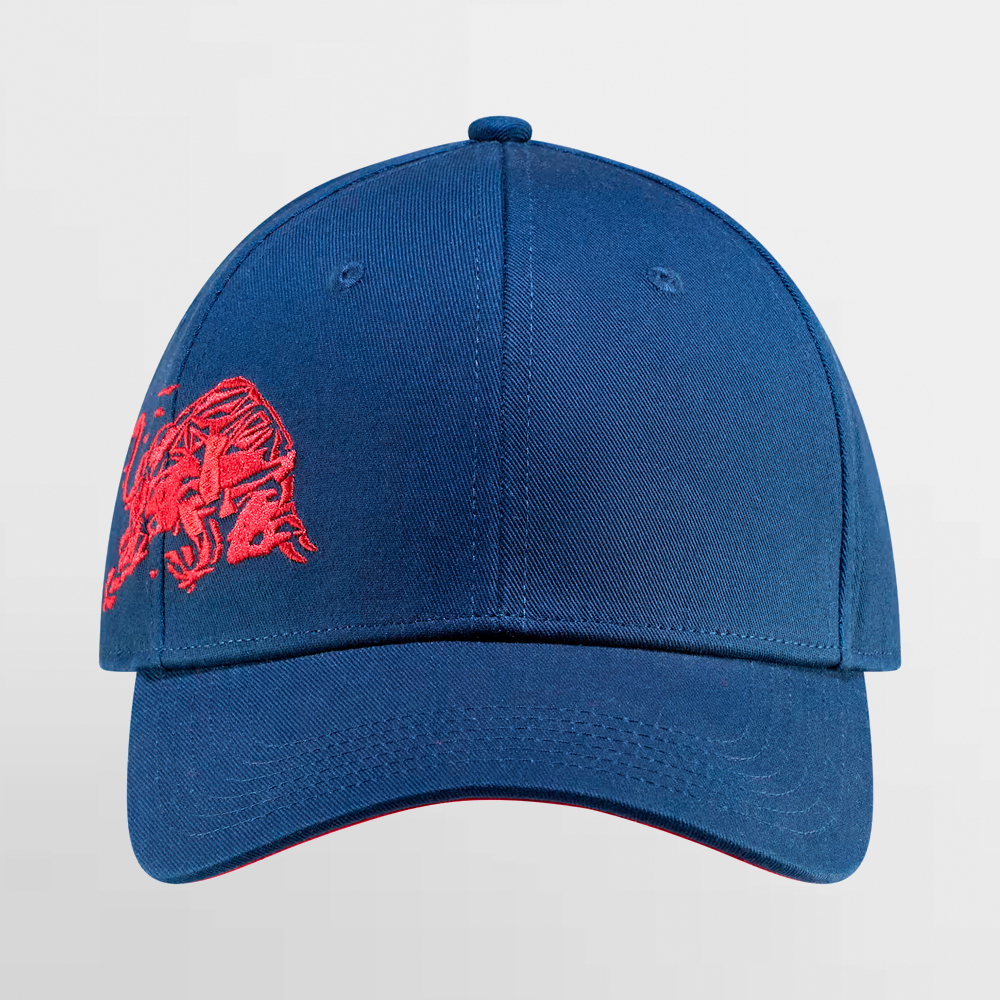AFB GORRA BOOST CAP - RRI264004