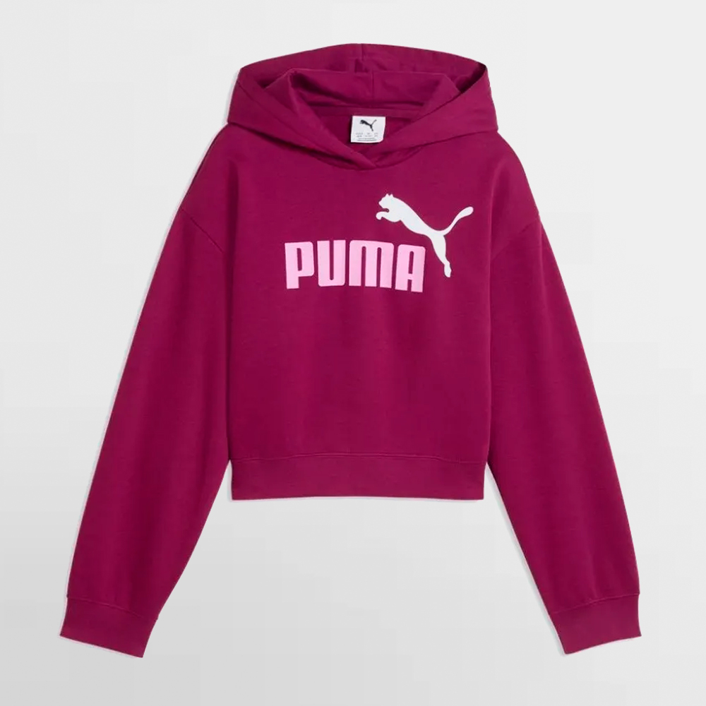 PUMA CANGURO WG.ESS 2 COLOR LOGO HOOD - 690717 41