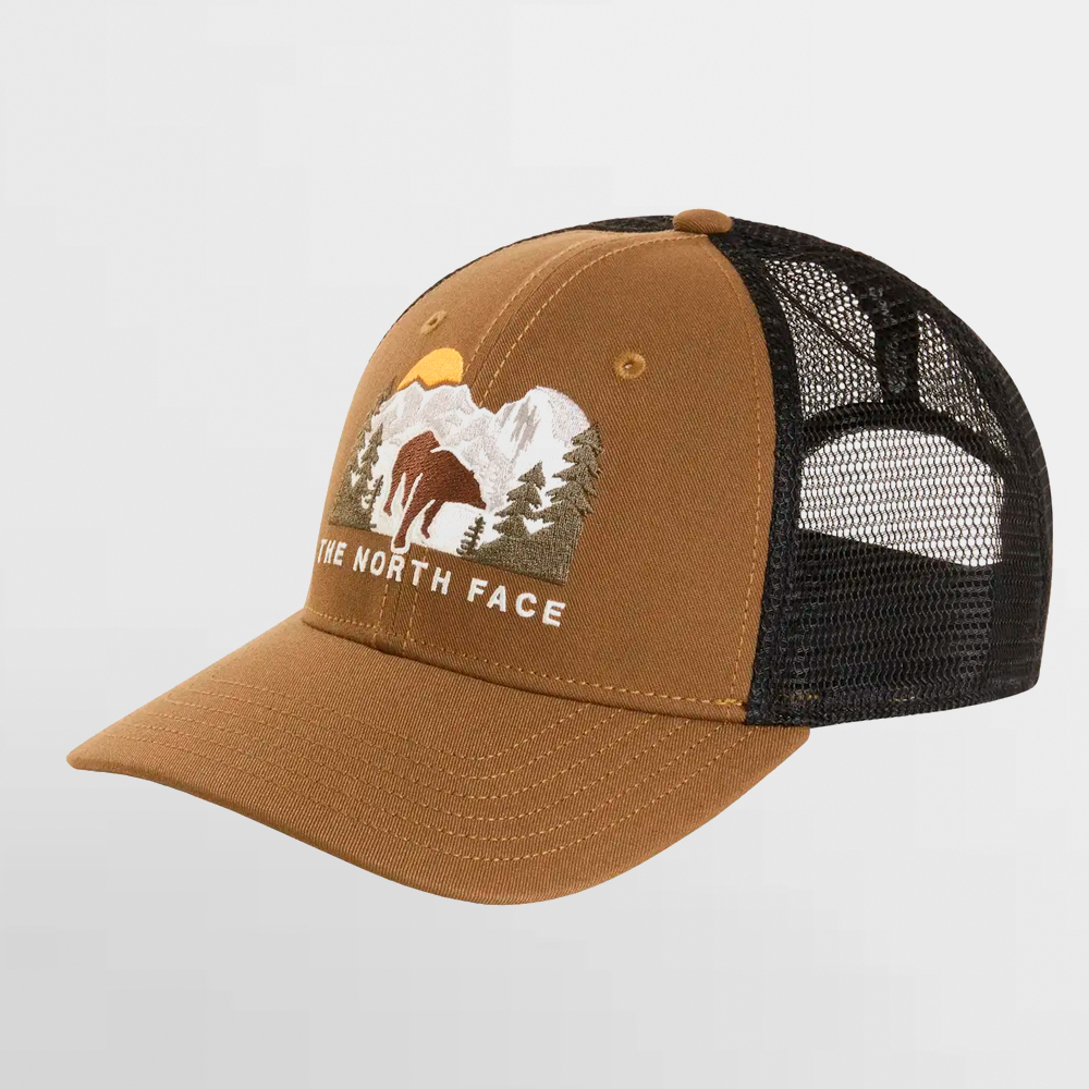 THE NORTH FACE GORRA EMBROIDERED MUDDER TRUCKER - NF0A7WH3VN0