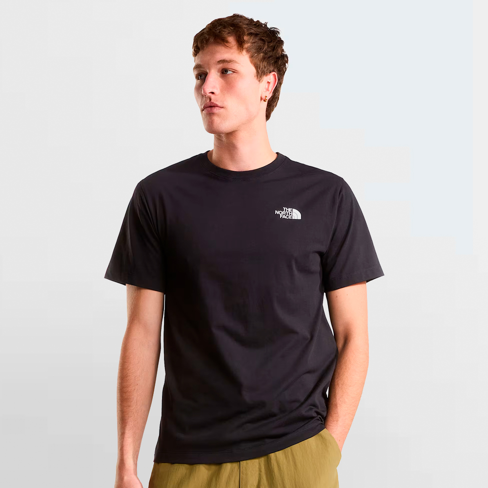 THE NORTH FACE CAMISETA BOX NSE CELEBRATION REG - NF0A8GV2JK3