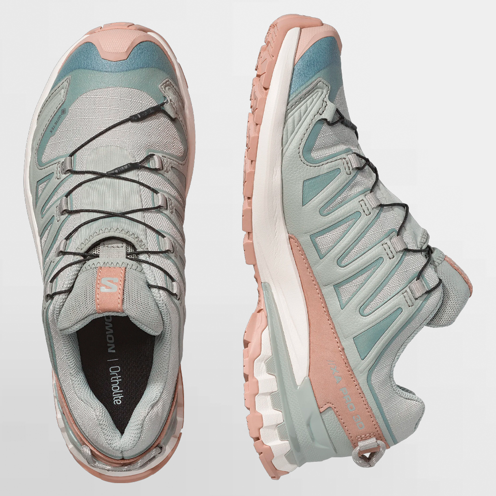 SALOMON CALZADO W. XA PRO 3D V9 GTX LIFELONG - L49297300