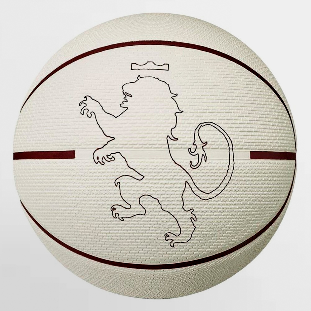 NIKE BALON PLAYGROUND 2.0 L JAMES - N.100.4372.159